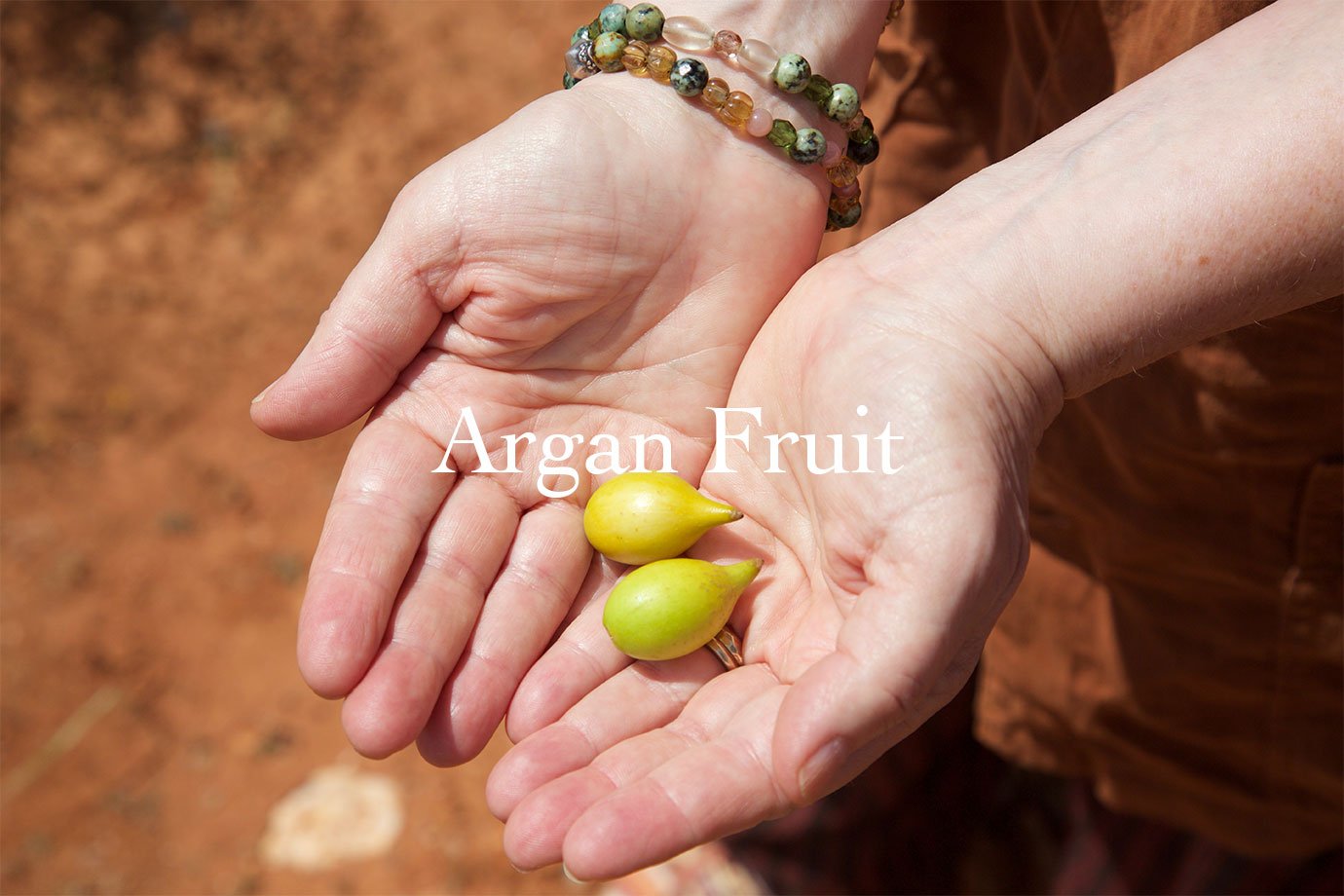 evans journey al amal womens cooperative morocco argan nut