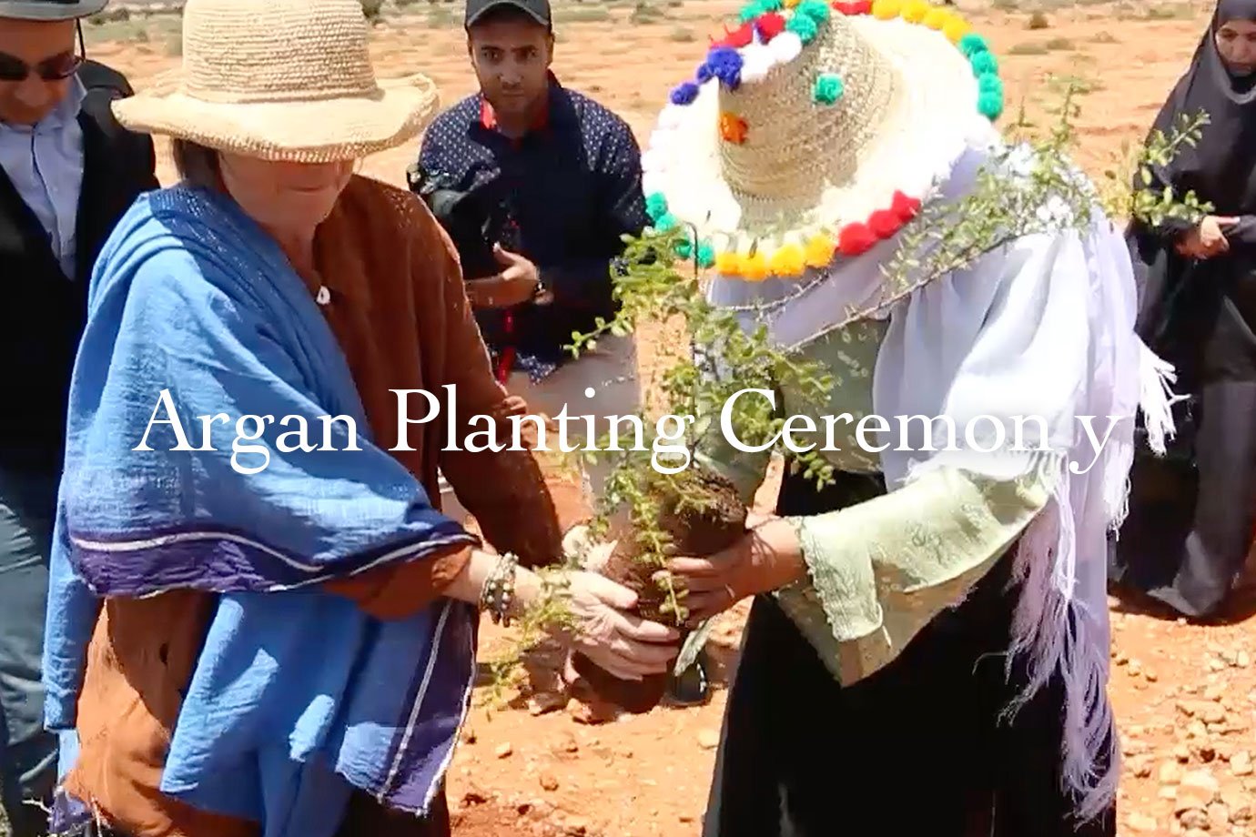 evans journey al amal womens cooperative morocco tree planting