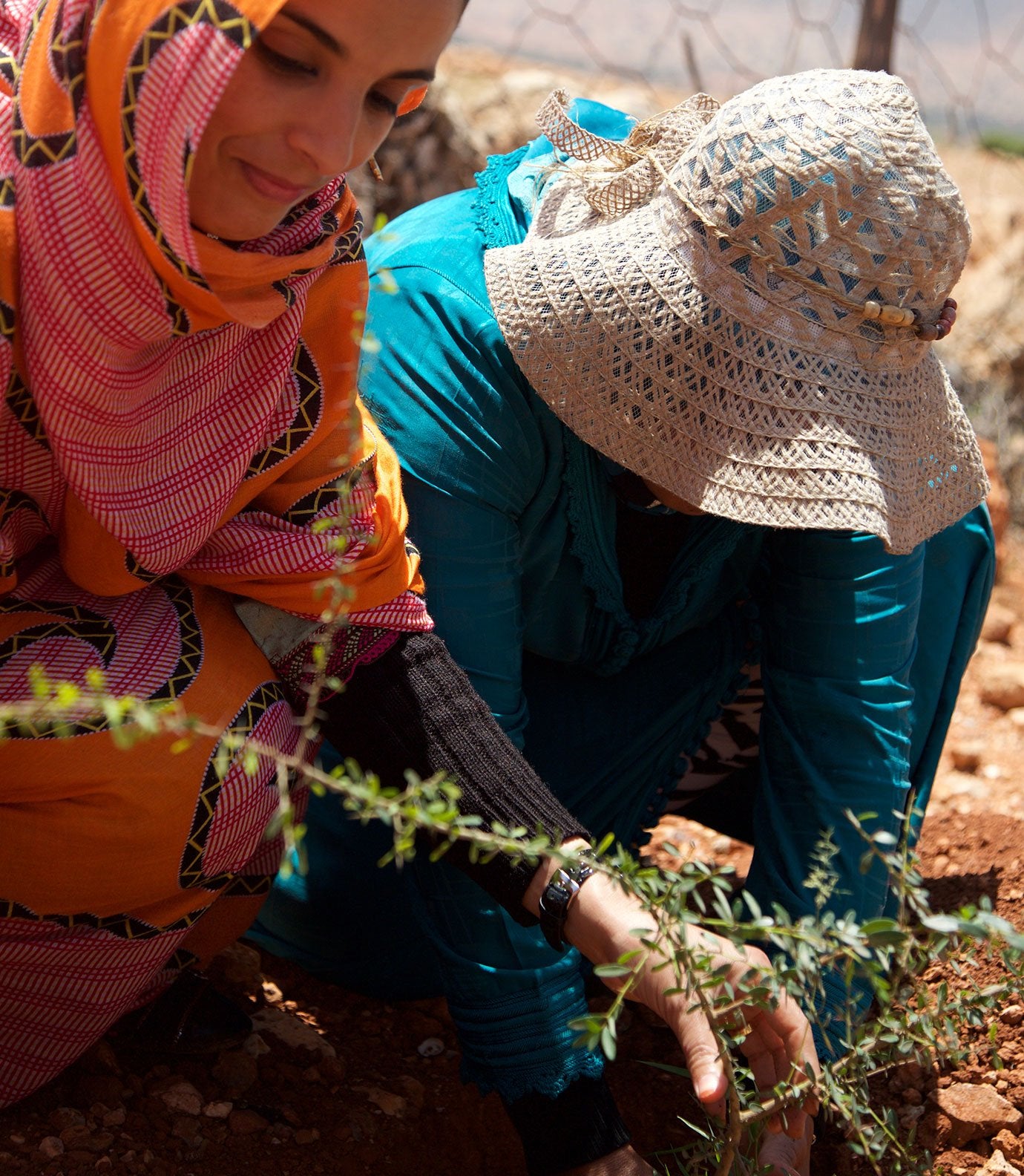 evans journey al amal womens cooperative morocco berber planting