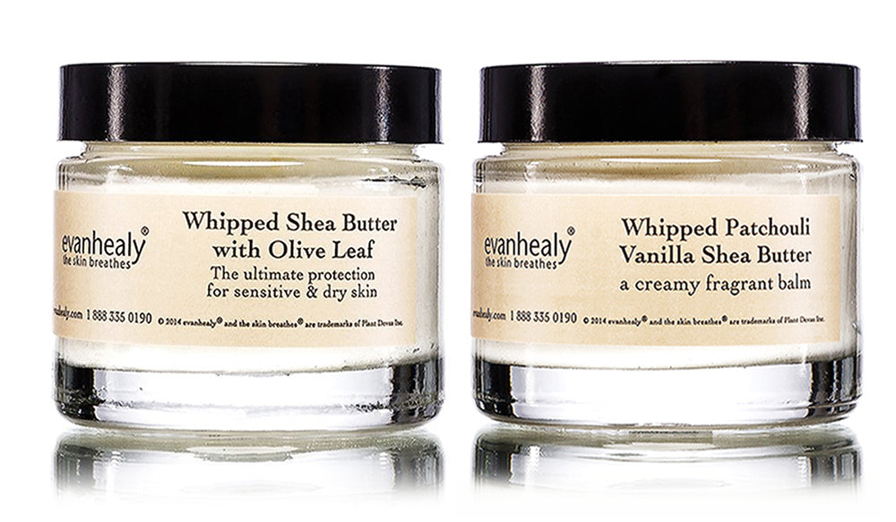 evanhealy whipped shea butter