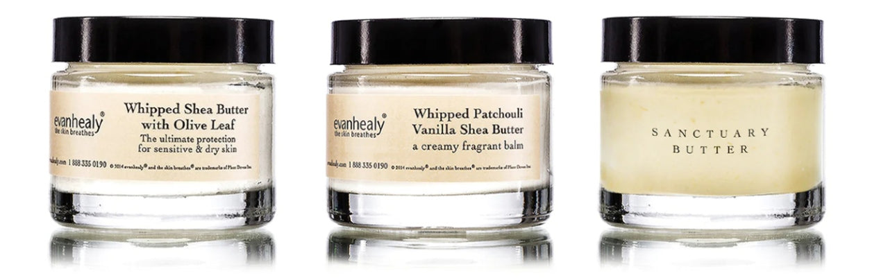 whipped shea butter facial moisturizer with olive leaf evanhealy