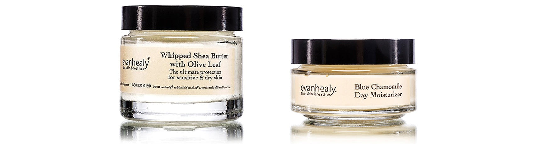 moisturizing facial shea butter and day moisturizer evanhealy