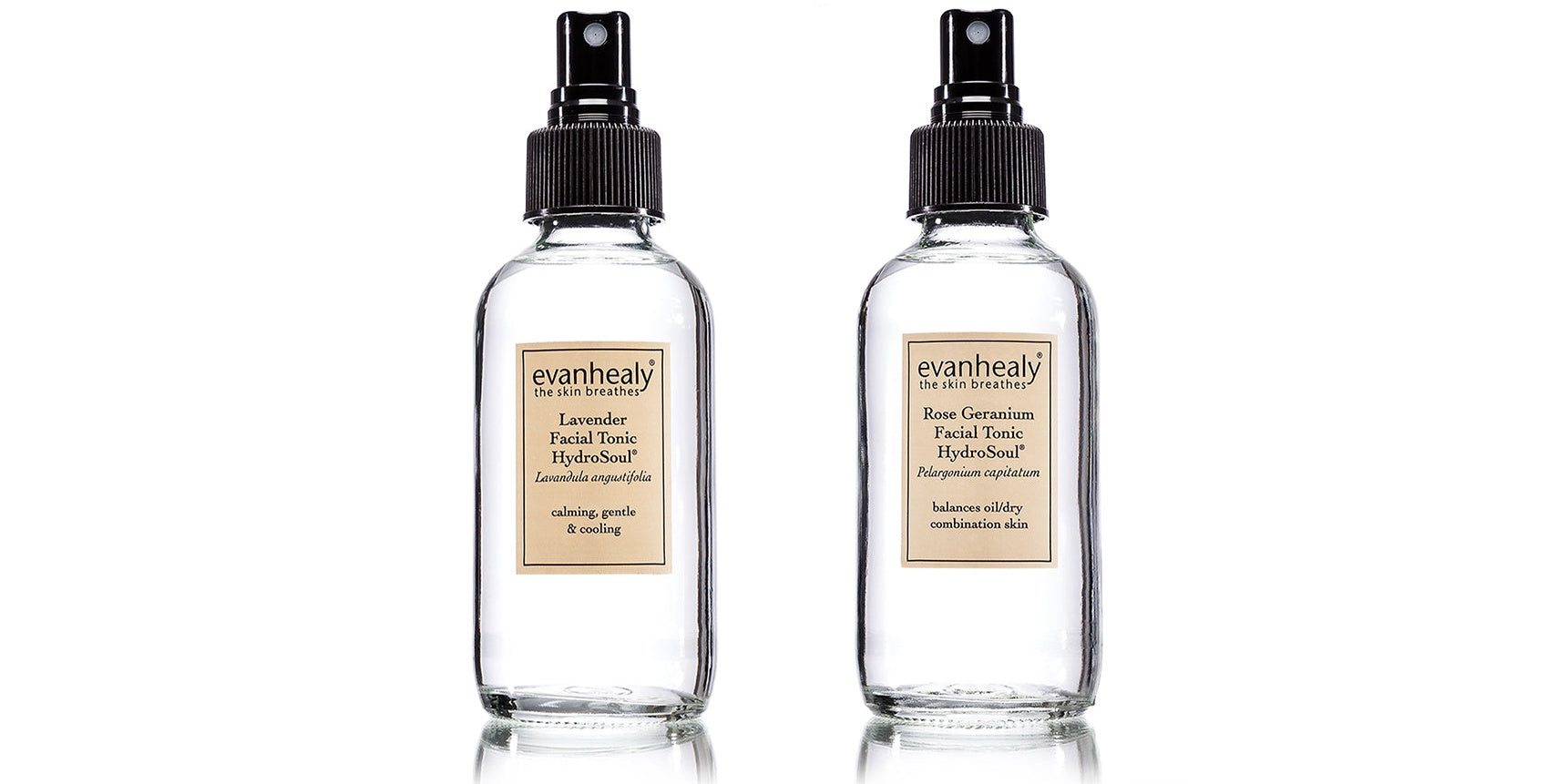 facial tonic hydrosol evanhealy