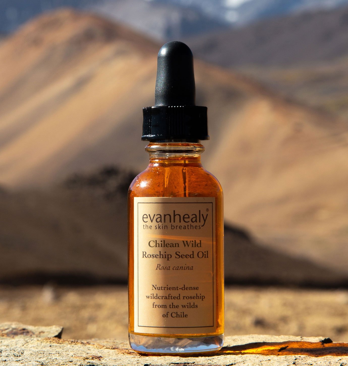 chilean wild harvested rosehip seed oil evanhealy product