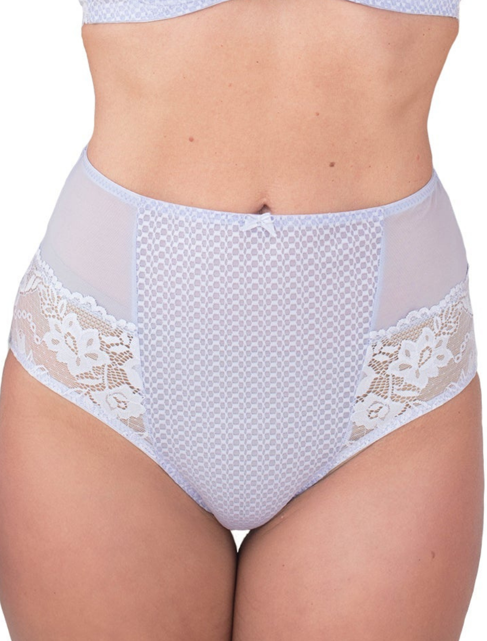 Fit Fully Yours Serena Brief Panty, Various Colors