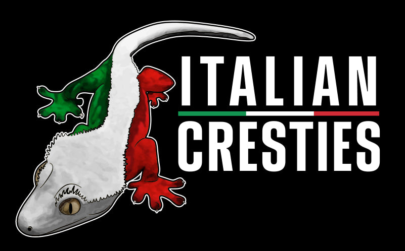Terrari in vetro – Italian Cresties Shop