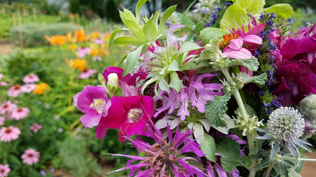 Local Flower Farmers Iowa