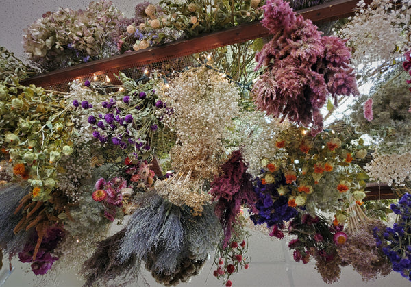 Dry foliage and greenery for floristry