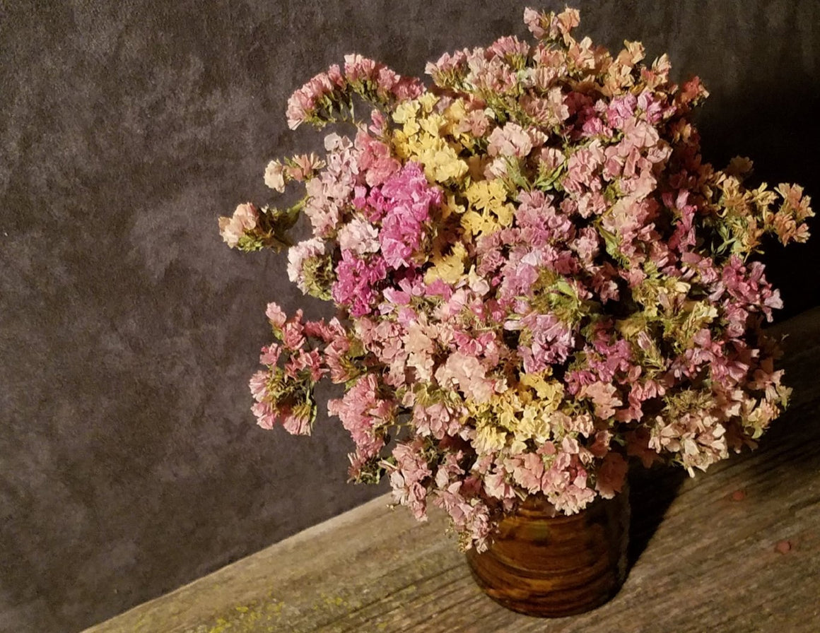 Statice sinuata natural blue dried flowers, Length ± 70 cm, Available per  bunch 