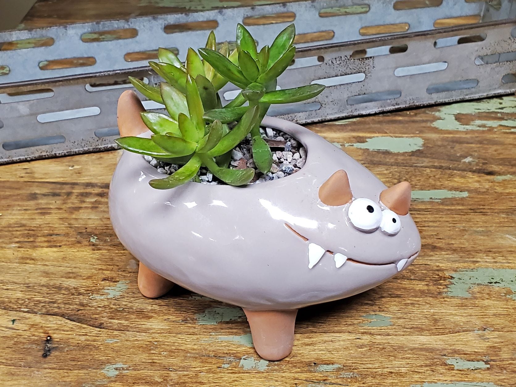 Simulated clay succulent plant pot set-Smiling Cat] Made to