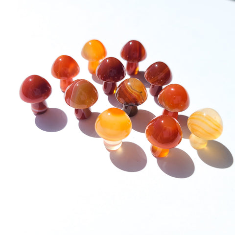 carnelian crystals for confidence