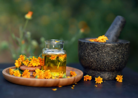 Calendula Extract Organic Skincare Essential Oils