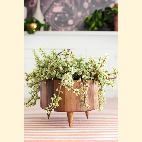 DIY Wooden Planter - best DIY gifts