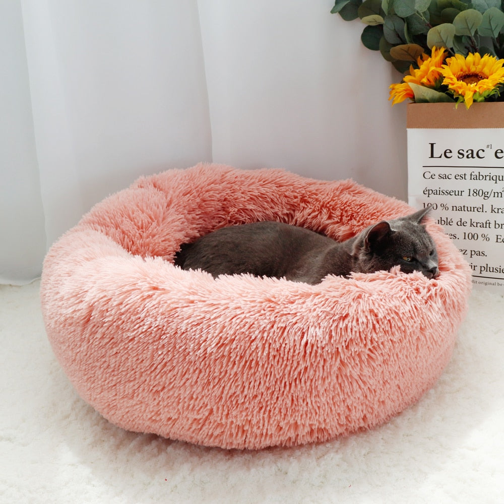 sunflower cat bed