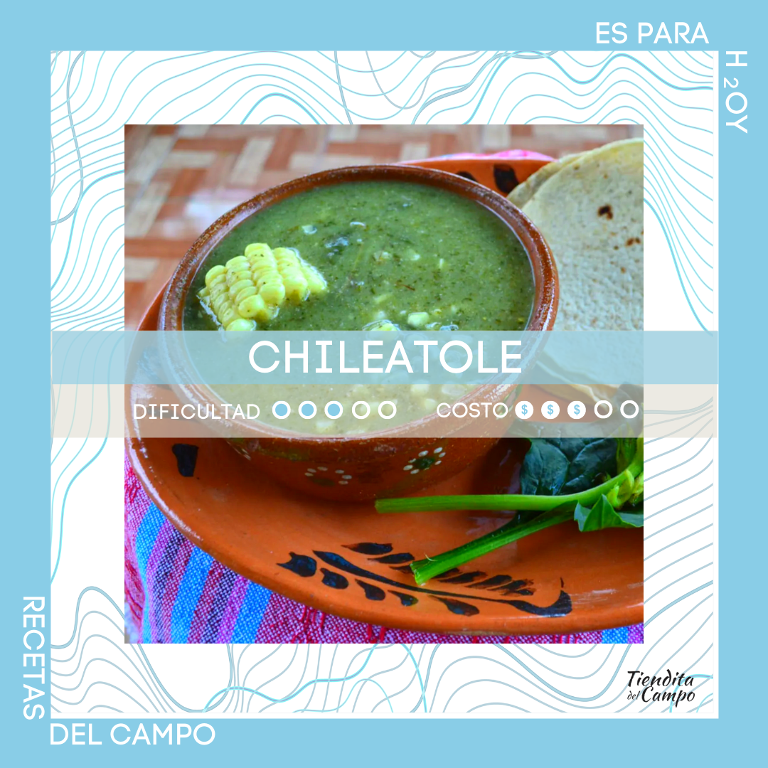 Receta tradicional de chileatole verde – Tiendita del Campo