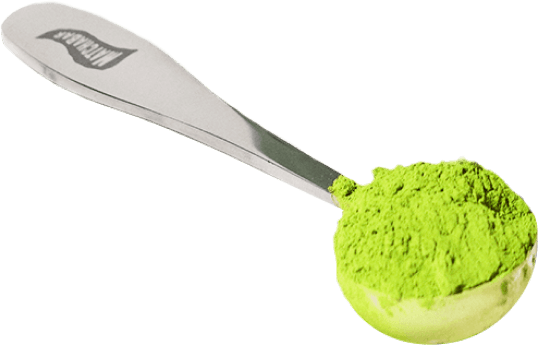electric matcha whisk