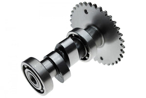 BDX PERFORMANCE A12 RACING CAMSHAFT - TORQUE