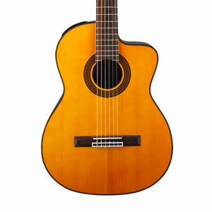 Acoustic Guitars