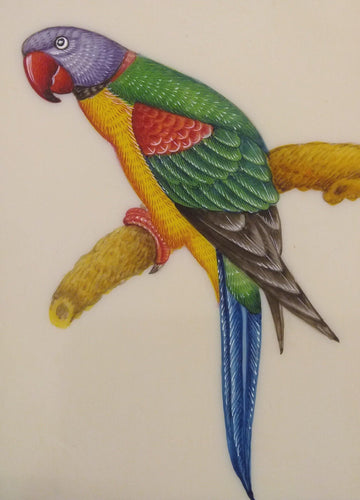 Parrot Drawing Easily #tiya #Parrot #pakhi #bird #Drawing #color #pain... |  TikTok