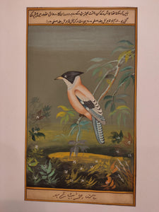Birds Painting Artwork Paper