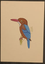 Load image into Gallery viewer, KingFisher Bird
