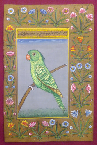 indian parrot painting