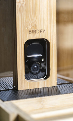 Birdfy feeder bamboo - camera