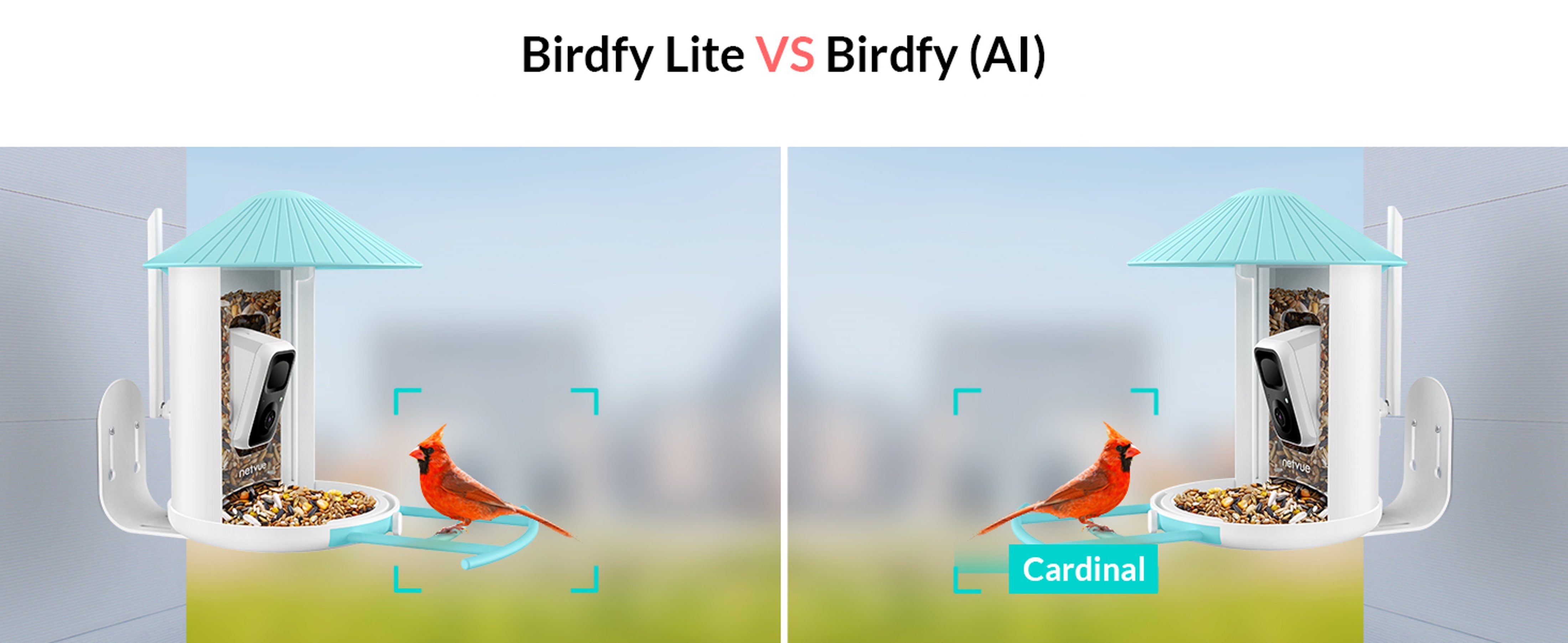 Netvue Birdfy Lite- Comedero Pajaros Inteligente con Cámara, Comedero  Pajaros Exterior, Captura Automática de Videos de Aves, Comedero  Inteligente para Pájaros con Aplicación (Solo Birdfy)