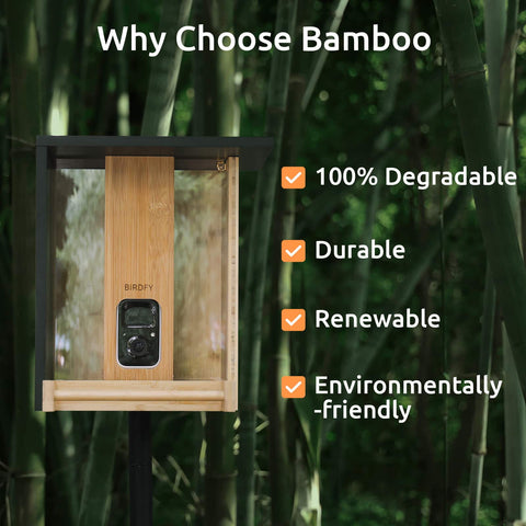 Birdfy bamboo
