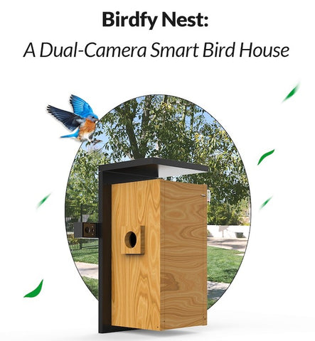 Birdfy Nest