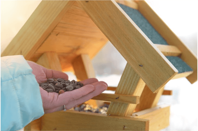 bamboo bird feeder