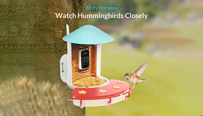 birdfy hummingbird feeder set