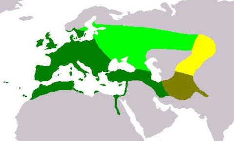 European Goldfinch Map