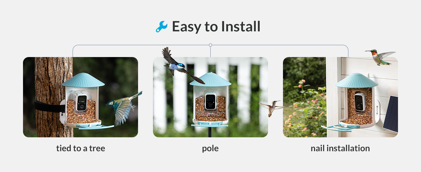 Oiseau Feeder avec Camera, Netvue Birdfy Mise à Rwanda
