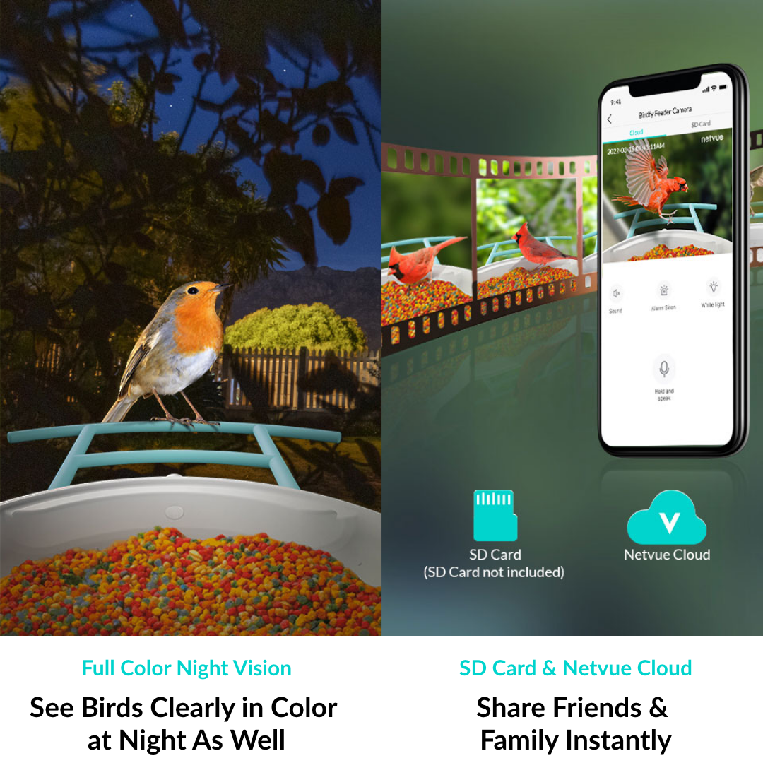 Netvue Birdfy: First AI Smart Bird Feeder for 6000+ Birds Recognition ...