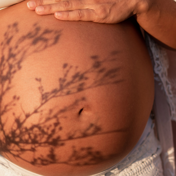 Pregnant belly with shadow of herb/plant