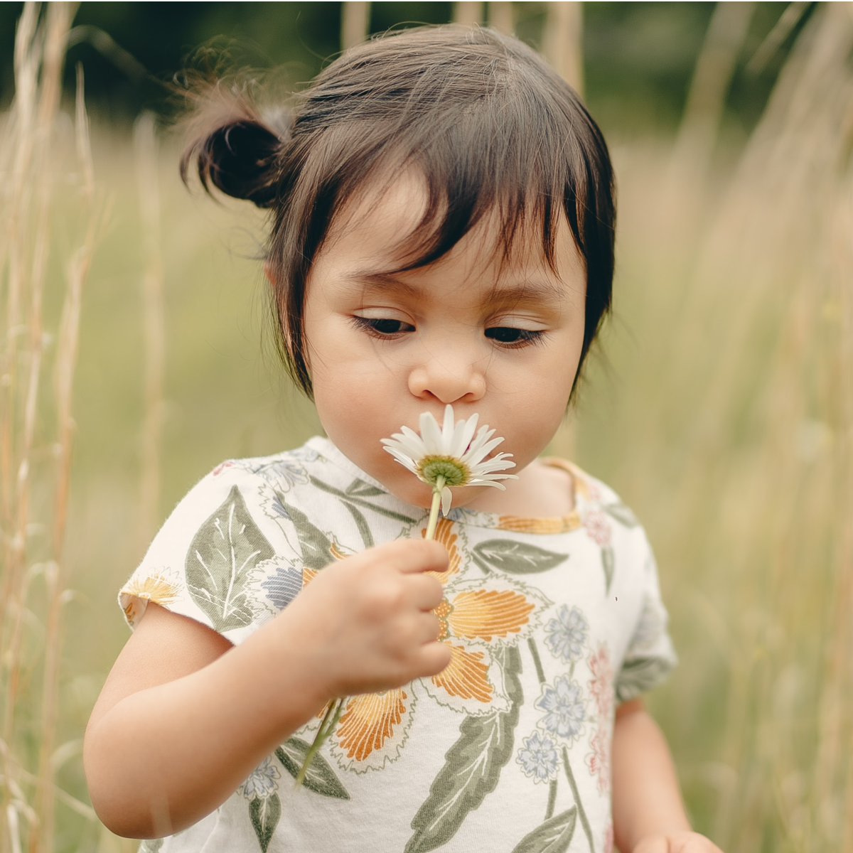 Toddler smelling flowers 