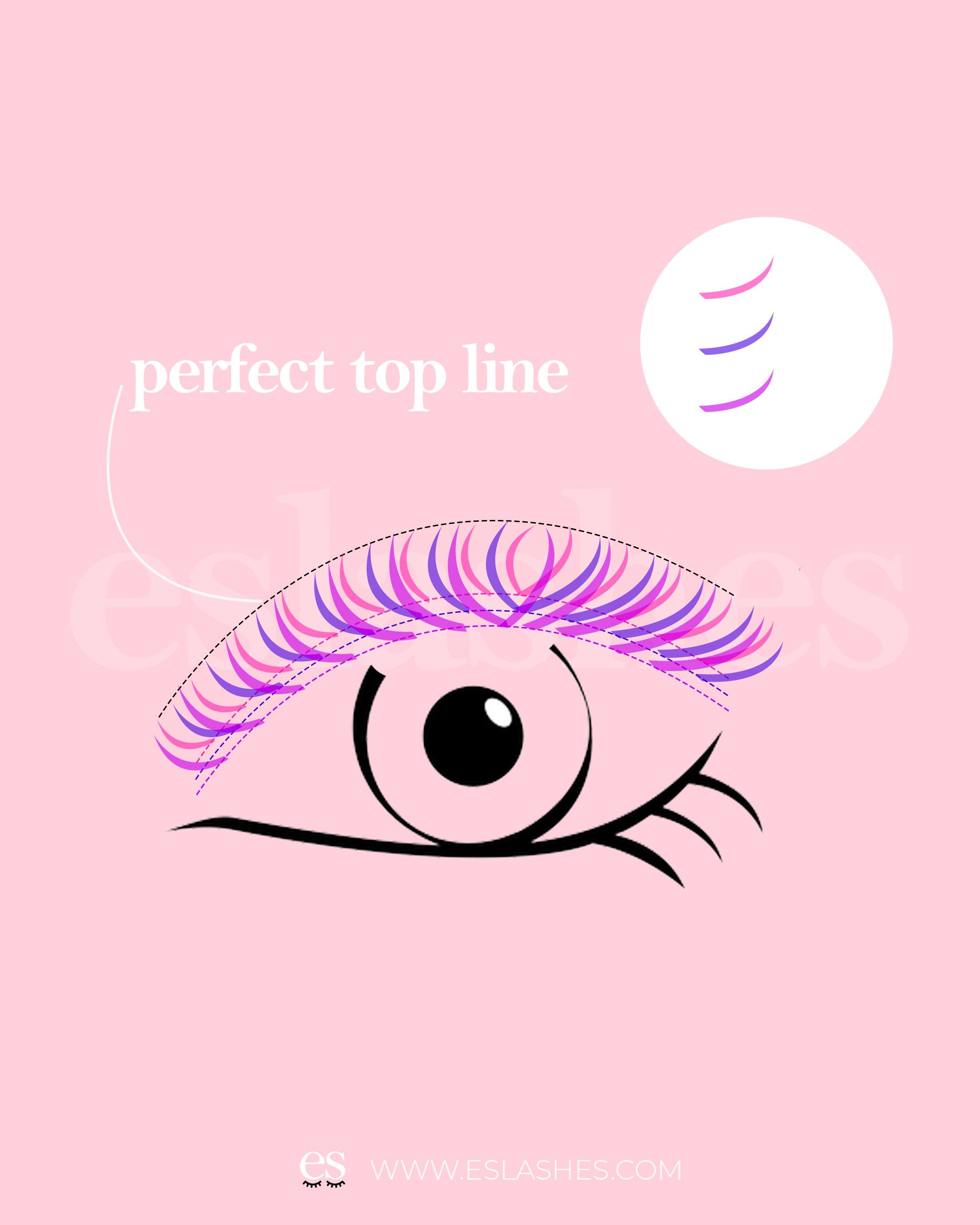 perfect top line eyelash line diagram