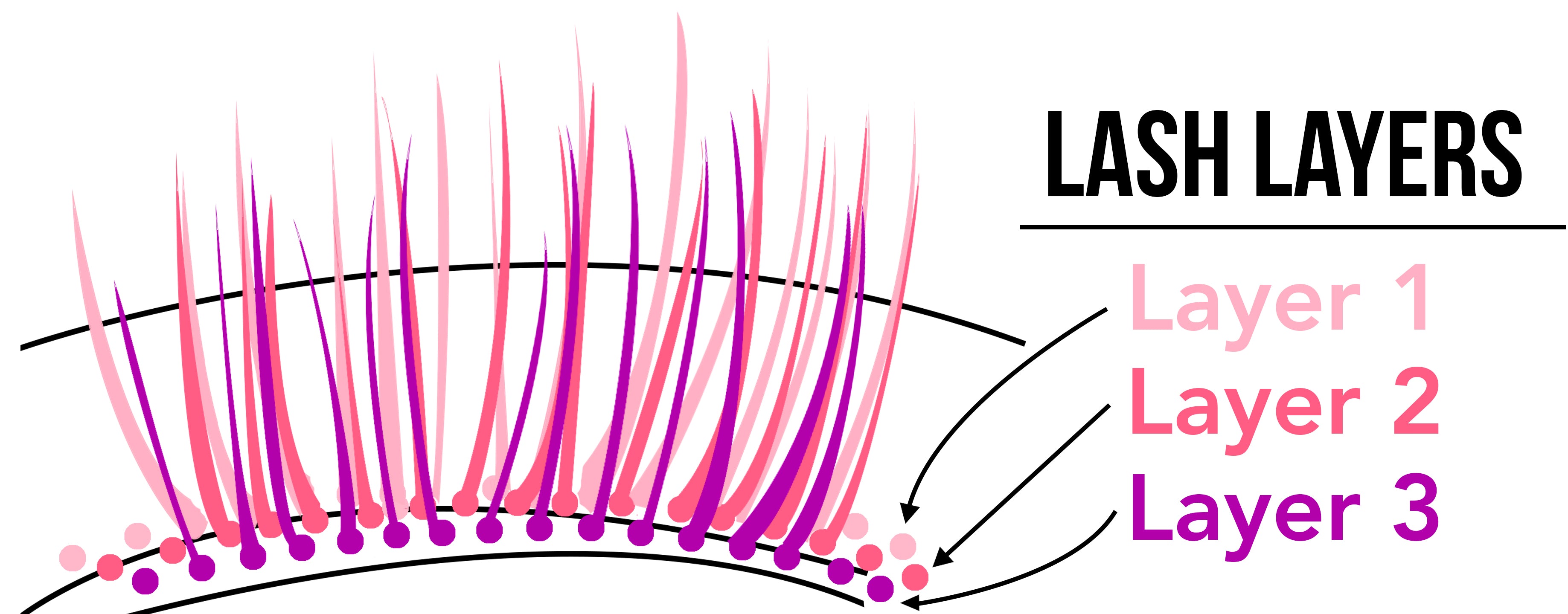 lash layers diagram