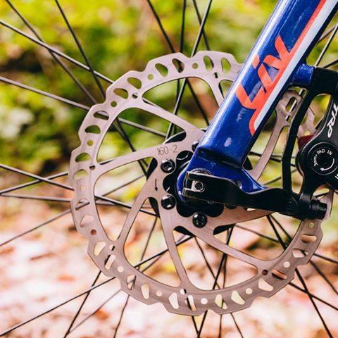 squeaky mountain bike disc brakes