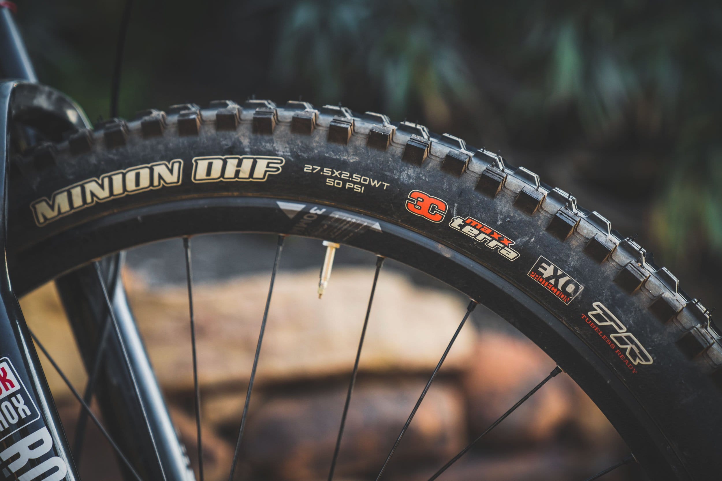 maxxis minion mtb tires