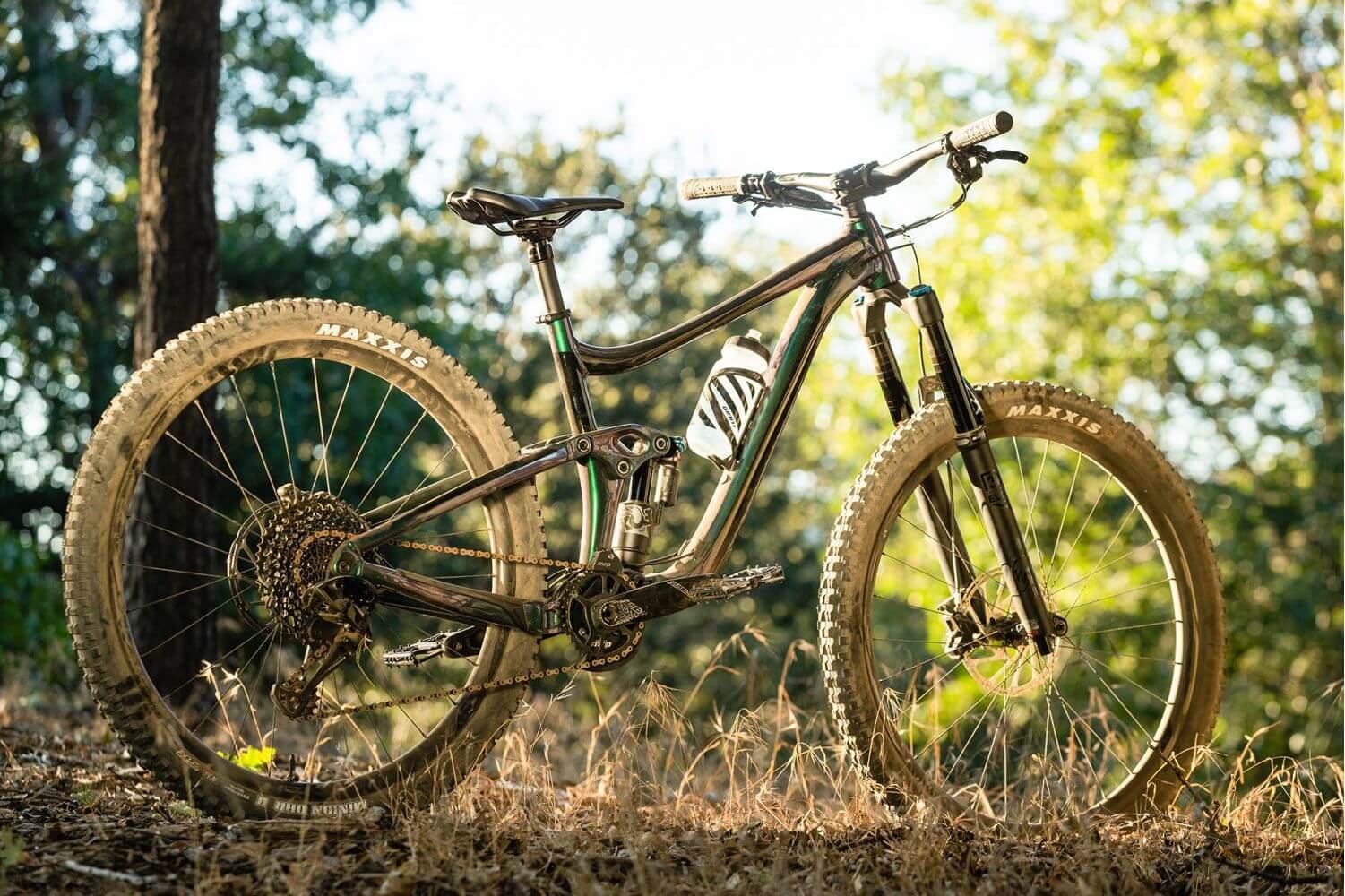 giant reign 29er 2020