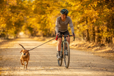 Cyclist riding bike with her dog