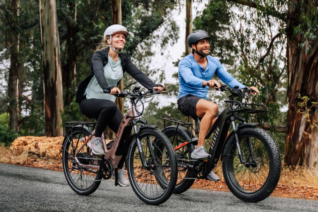 12 months no interest on qualified mountain bike and e-bike purchases