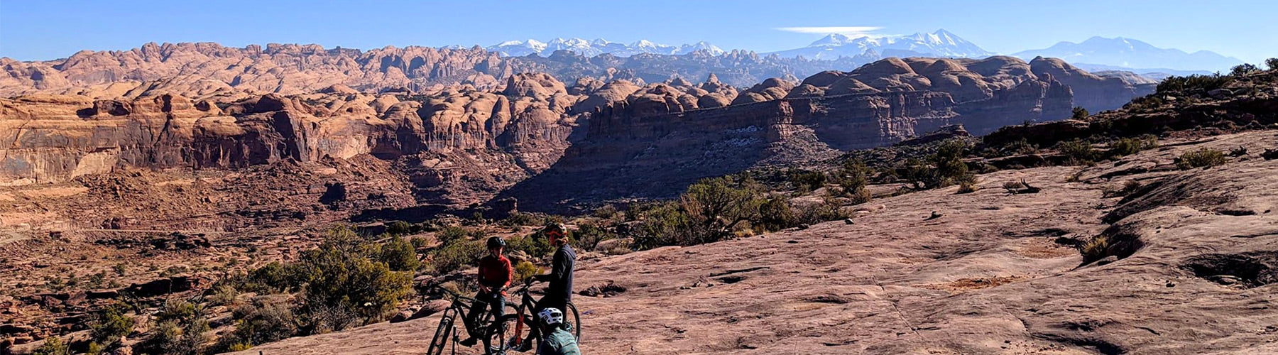 Mountain bikers enjoying a scenic view