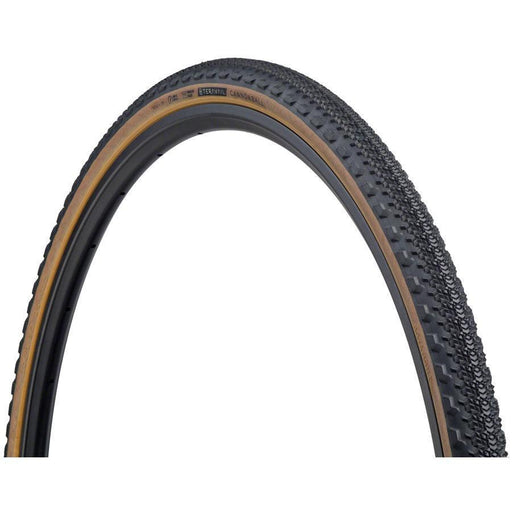 schwalbe marathon winter studded tire 700x35