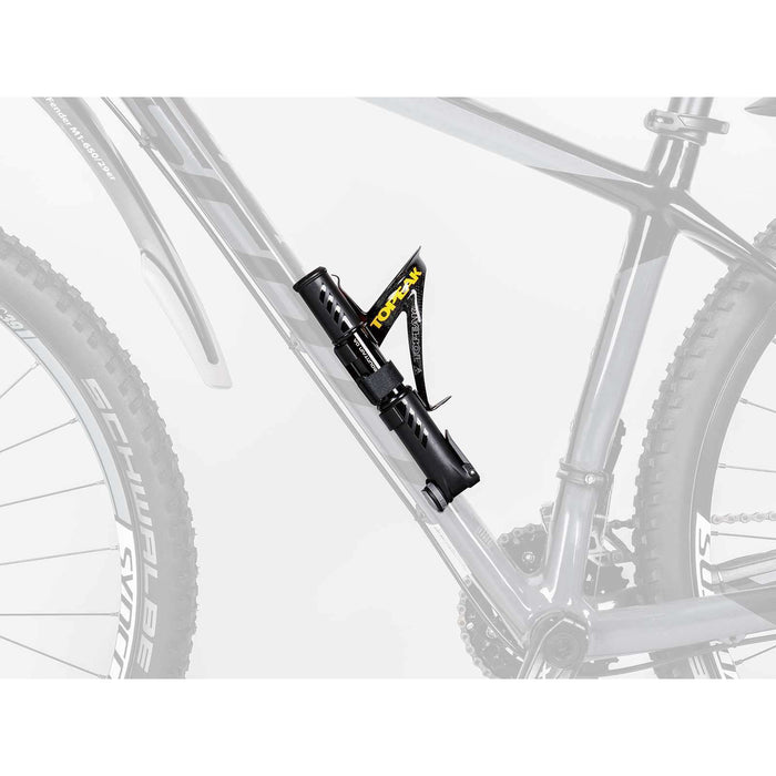 dual action bike pump