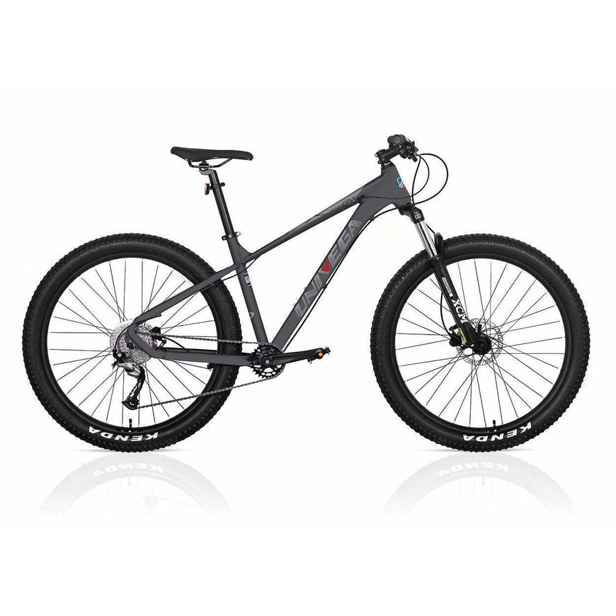 univega mountain bike