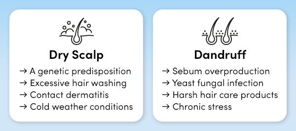 The causes of dandruff and dry scalp