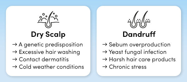 dandruff scalp fungus